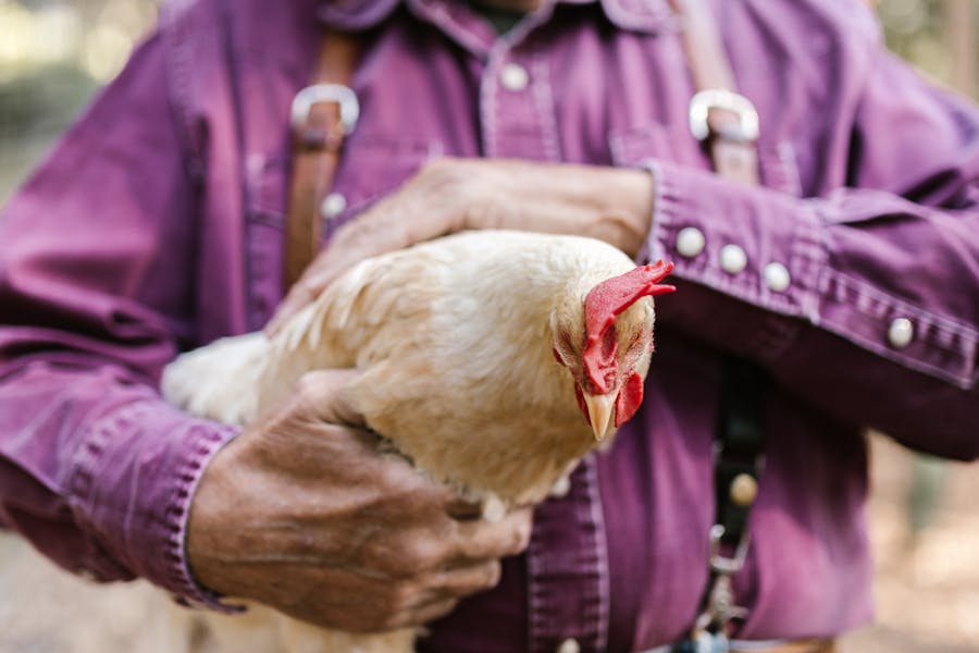 pexels-photo-7782993-1